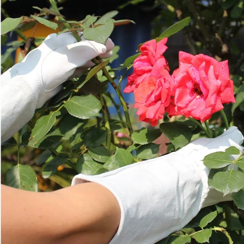 Une paire de gants de jardin a - Gardening Glove Waterproof avis et prix
