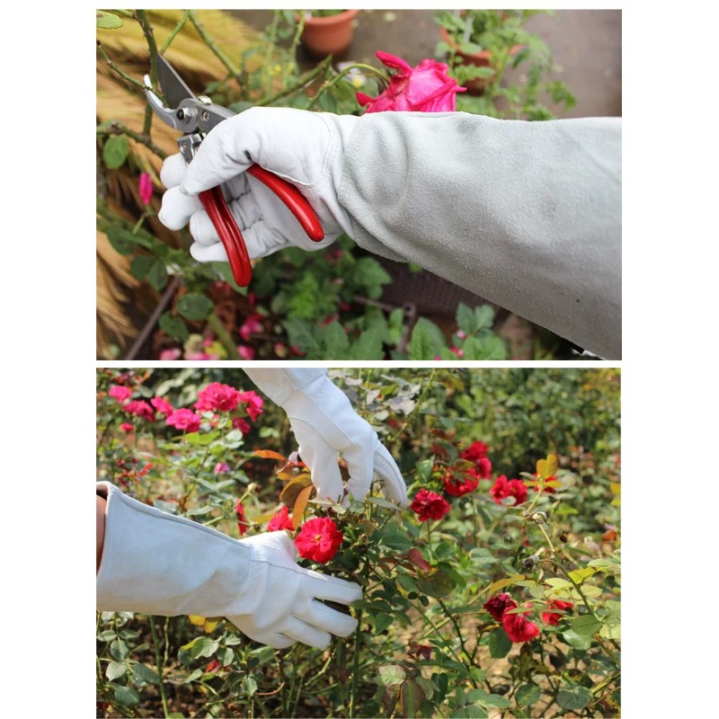 Une paire de gants de jardin a - Gardening Glove Waterproof avis et prix