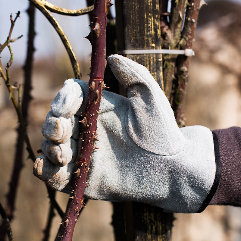 Une paire de gants de jardin a - Gardening Glove Waterproof avis et prix
